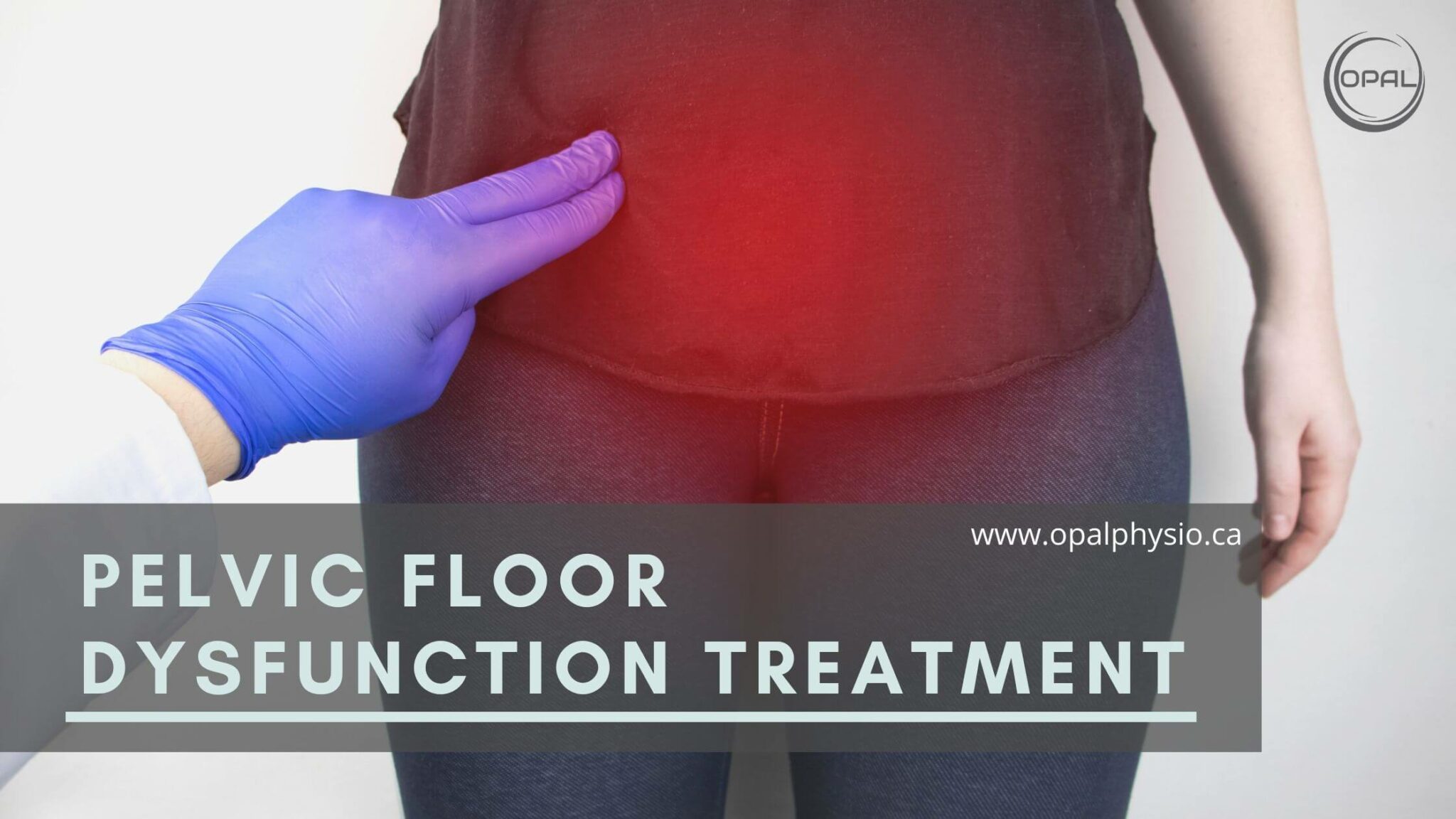 Guide To Pelvic Floor Dysfunction