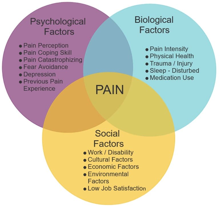 Chronic Low Back Pain And Its Complexities