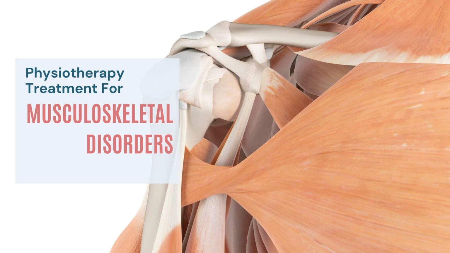 Musculoskeletal Disorders Physiotherapy Treatment