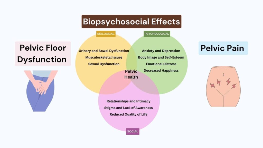 Biopsychosocial Effects of Pelvic Floor Dysfunction and Pelvic Pain